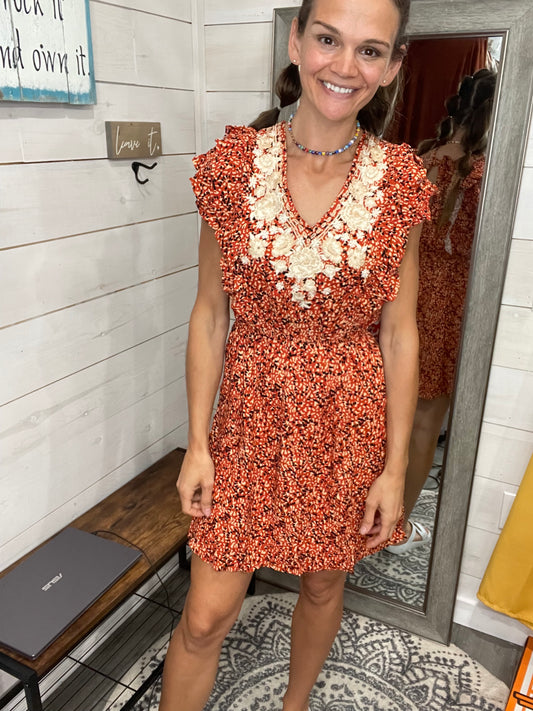 Rust Embroidered dress