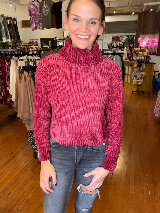 Bernetta Chenille Turtleneck Sweater