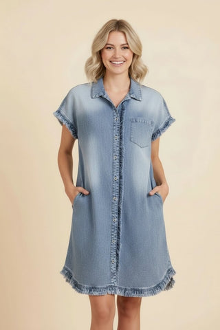 Daryn Denim Dress- Heimish